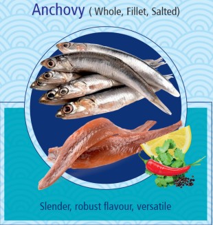 Anchovy